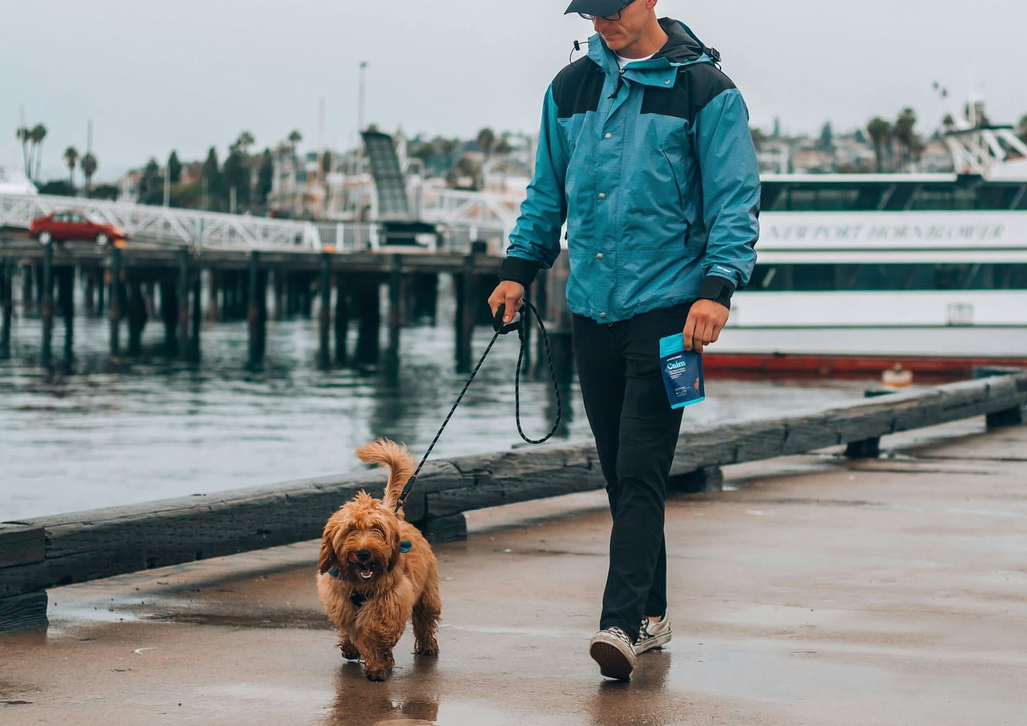 A person in a blue coat walking a small dog on a lead along a harbour front